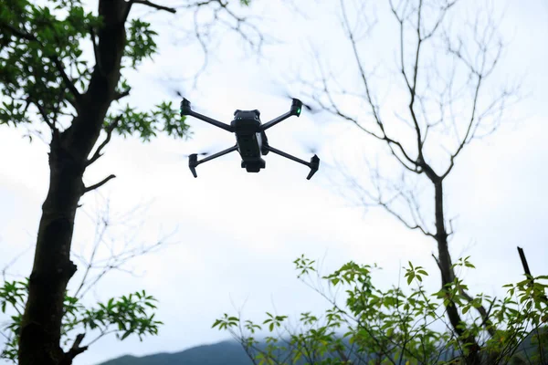 Flying Drone Summer Forest — Fotografia de Stock