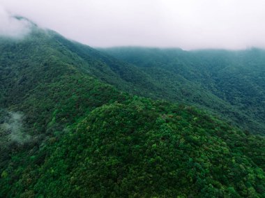 Aerial view of beautiful tropical forest mountain landscape