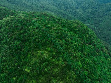 Aerial view of beautiful tropical forest mountain landscape