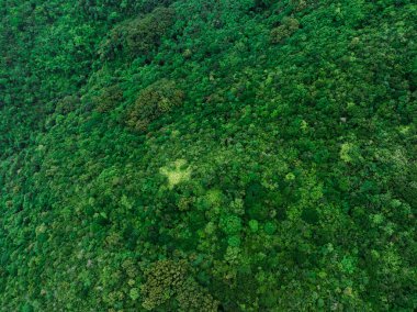 Aerial view of beautiful tropical forest mountain landscape