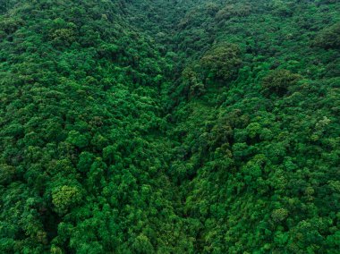 Aerial view of beautiful tropical forest mountain landscape