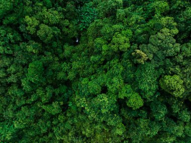 Aerial view of beautiful tropical forest mountain landscape
