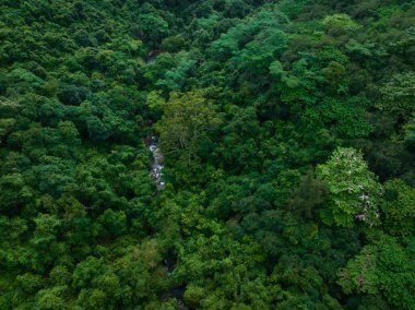 Aerial view of beautiful tropical forest mountain landscape