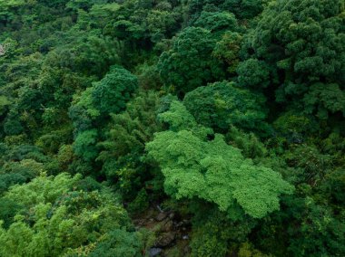 Aerial view of beautiful tropical forest mountain landscape