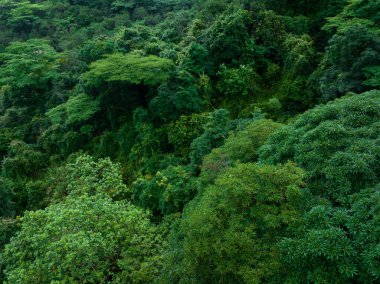Aerial view of beautiful tropical forest mountain landscape