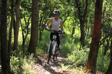 Mountain biking in summer forest