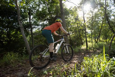 Mountain biking in summer forest