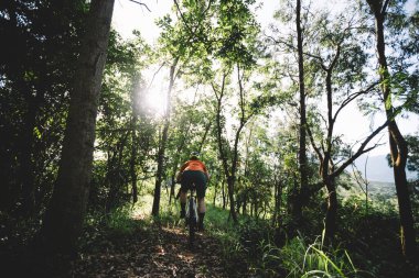 Mountain biking in summer forest
