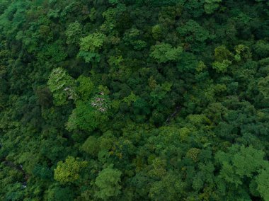 Aerial view of beautiful tropical forest mountain landscape
