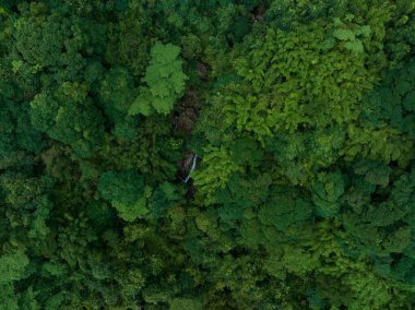 Aerial view of beautiful tropical forest mountain landscape