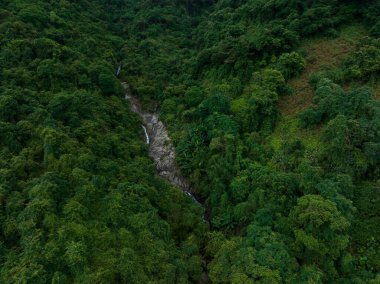 Aerial view of beautiful tropical forest mountain landscape
