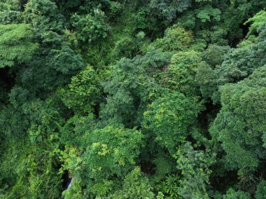 Aerial view of beautiful tropical forest mountain landscape
