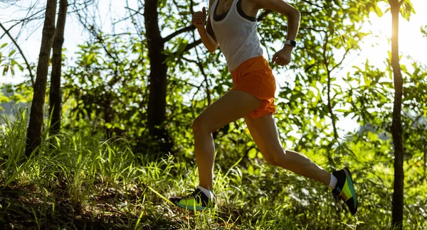 Woman Runner Running Forest Trai — 스톡 사진