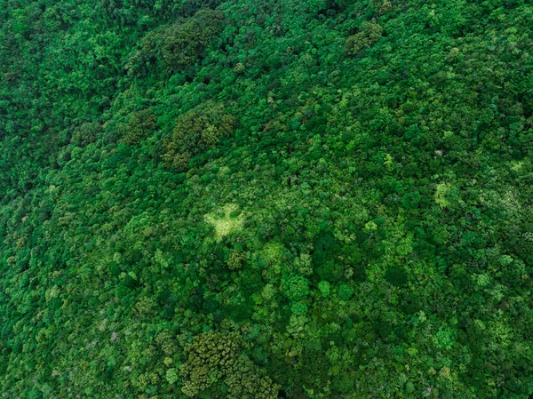 Aerial View Beautiful Tropical Forest Mountain Landscape — Stock fotografie