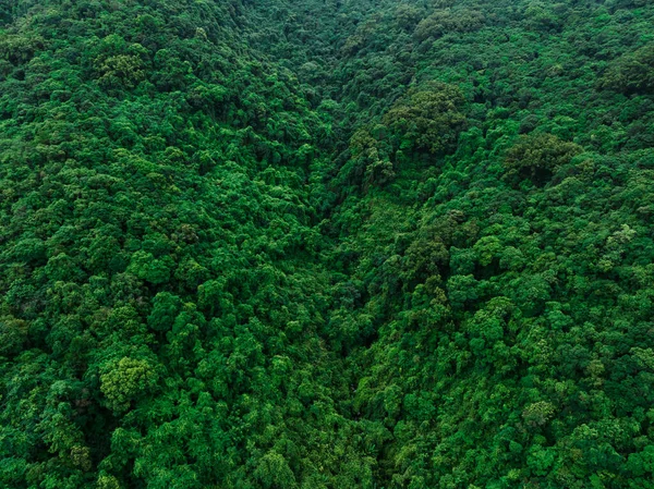 Aerial View Beautiful Tropical Forest Mountain Landscape — Stock Photo, Image