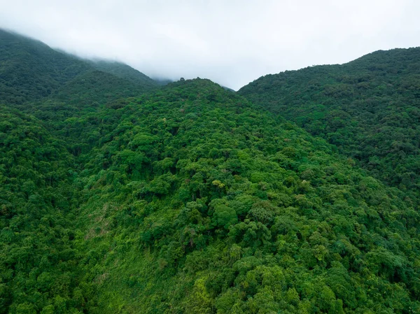 Aerial View Beautiful Tropical Forest Mountain Landscape — Stockfoto