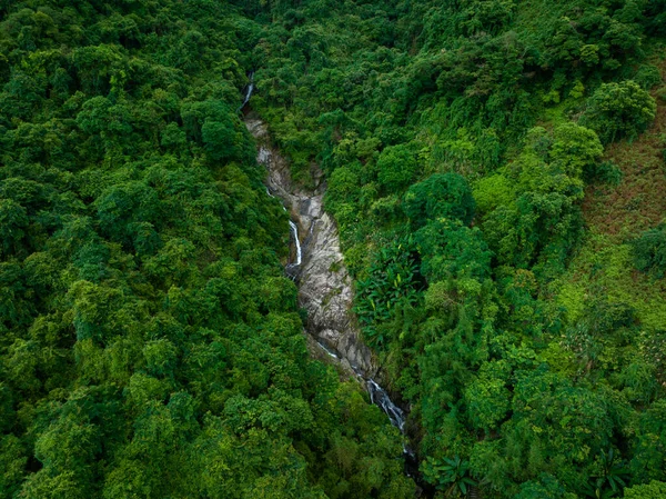 Aerial view of beautiful tropical forest mountain landscape