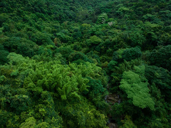 Aerial View Beautiful Tropical Forest Mountain Landscape — Stockfoto