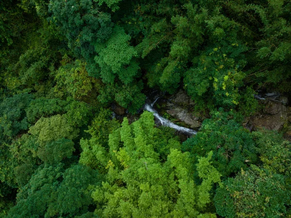 Aerial view of beautiful tropical forest mountain landscape