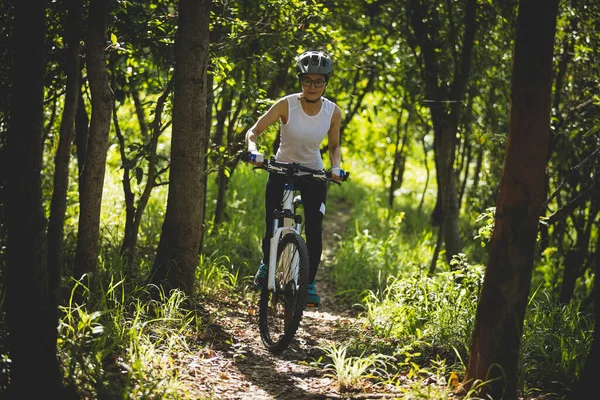 Mountain biking in summer forest