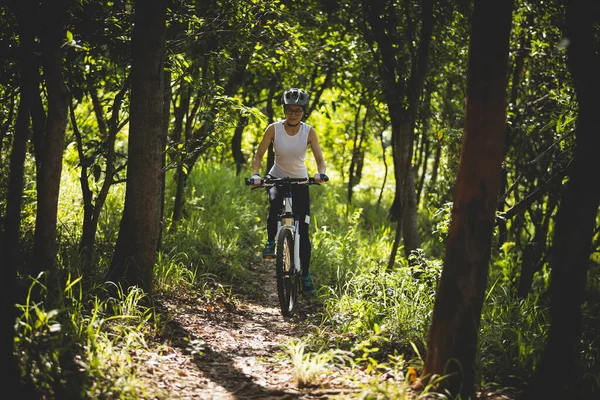 Mountain Biking Summer Forest — Stock Photo, Image