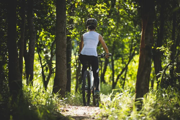 Mountain biking in summer forest