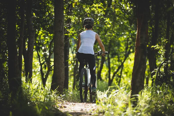 Ποδηλασία Στο Δάσος Του Καλοκαιριού — Φωτογραφία Αρχείου