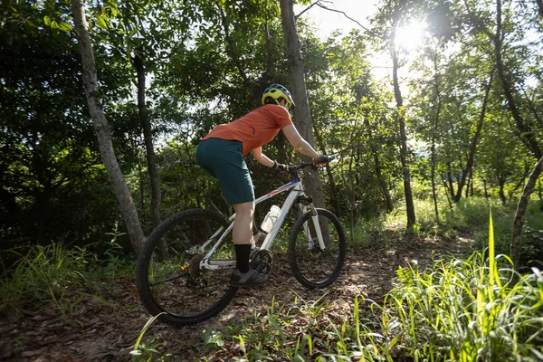 Mountain biking in summer forest