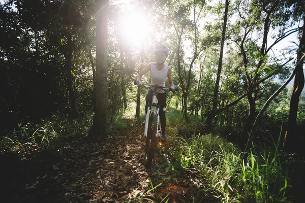 Mountain Biking Summer Forest — Stok fotoğraf