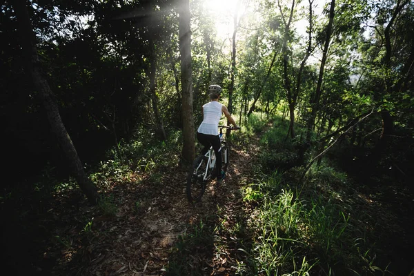 Mountain biking in summer forest