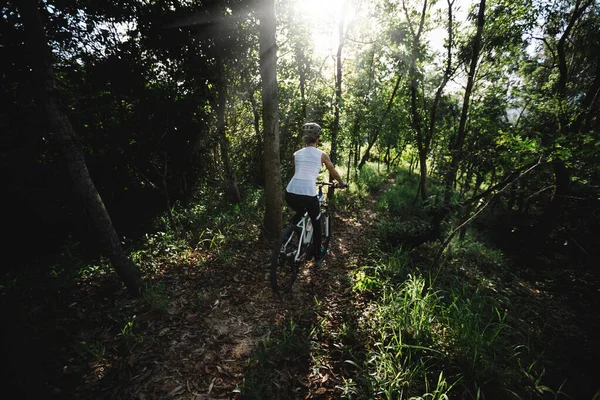 Mountain Biking Summer Forest — 图库照片