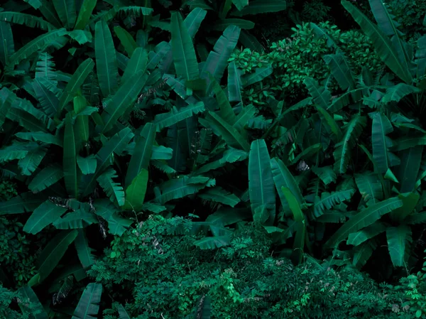 Aerial View Beautiful Tropical Forest Mountain Landscape — 图库照片