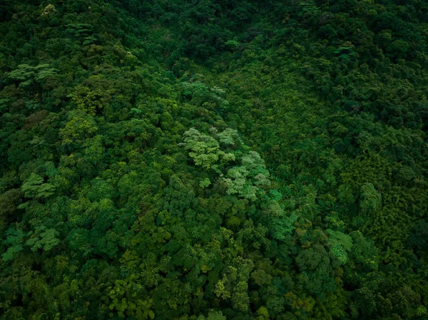 Aerial View Beautiful Tropical Forest Mountain Landscape —  Fotos de Stock