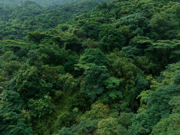 Aerial View Beautiful Tropical Forest Mountain Landscape — Fotografia de Stock