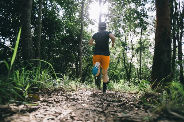 Trail runner running in summer forest trail