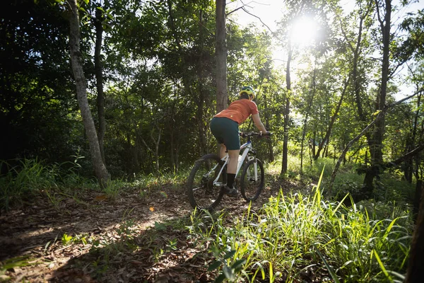 Mountain biking in summer forest