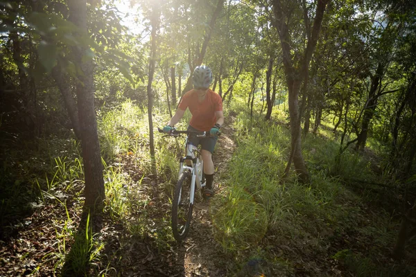 Mountain biking in summer forest