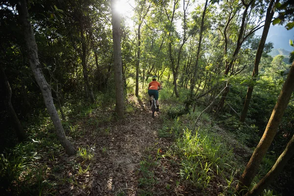 Mountain Biking Summer Forest — 图库照片