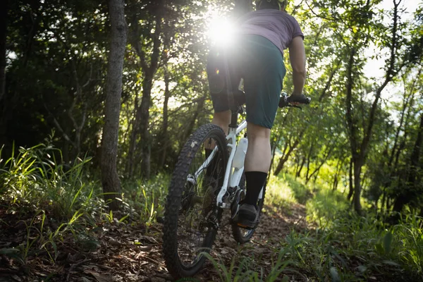 Mountain biking in summer forest