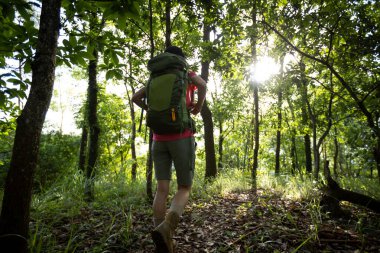 Orman iz hiking kadın uzun yürüyüşe çıkan kimse