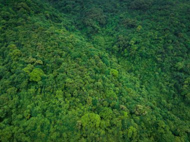Aerial view of beautiful tropical forest mountain landscape