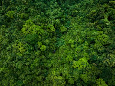 Aerial view of beautiful tropical forest mountain landscape