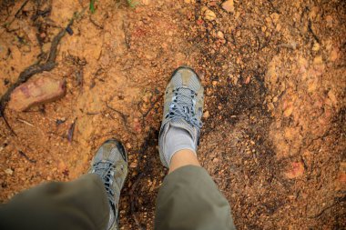 Hiking on forest mountain trail in summer