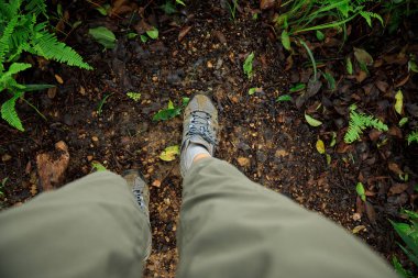 Hiking on forest mountain trail in summer