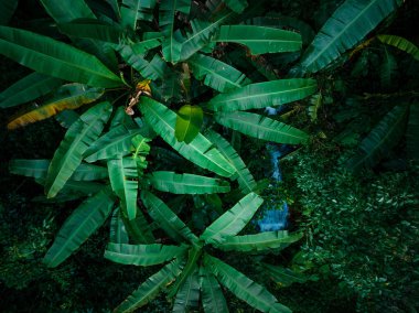 Aerial view of beautiful tropical forest mountain landscape