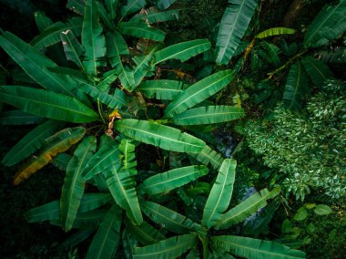 Aerial view of container terminalAerial view of beautiful tropical forest mountain landscape