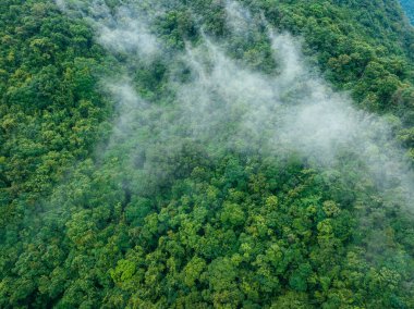 Güzel orman dağ manzarasının havadan görünüşü