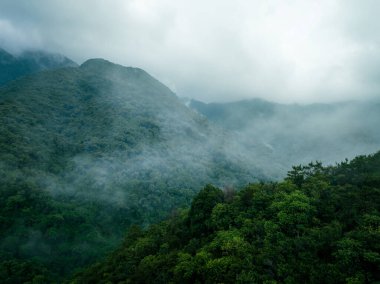 Güzel orman dağ manzarasının havadan görünüşü