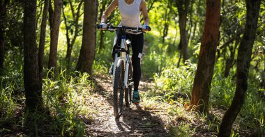 Mountain biking in summer forest