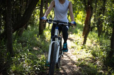 Mountain biking in summer forest